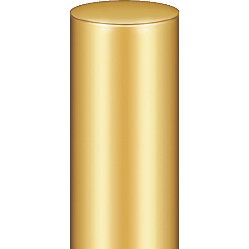 Fitschenring/Türbandring